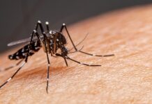 Semana de mobilização contra a Dengue tem troca de criadouros por brindes em escolas