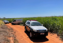 Suspeito de matar homem encontrado enterrado em canavial confessa o crime à polícia
