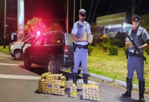 Homem é preso e adolescente apreendido com quase 80 quilos de maconha em rodovia de Guararapes