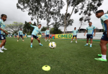 No Palmeiras, Endrick ou Mayke é única dúvida para jogo que pode definir título