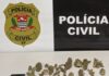 DISE prende traficante com maconha, haxixe, ecstasy e MDMA em Votuporanga