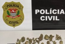 DISE prende traficante com maconha, haxixe, ecstasy e MDMA em Votuporanga
