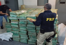 Homem é preso após ser flagrado com mais de três toneladas de maconha em baú de caminhão na BR-153