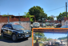 Polícia deflagra operação para combater desmanche clandestino de veículos