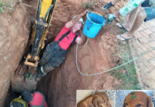 Bombeiros resgatam cachorro preso em tubulação de água em Novo Horizonte