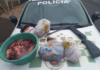 Homem é flagrado com mais de 20 kg de carne de anta e é autuado em R$ 13 mil em Novo Horizonte