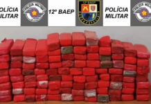 Grupo é preso com quase 200 tijolos de maconha em carros abordados na Rodovia Marechal Rondon