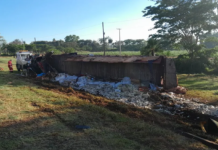 Homem morre após caminhão carregado com telhas tombar às margens da BR-153