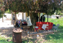 Polícia Ambiental descobre rinha de galo, resgata 19 animais e aplica multa de R$ 156 mil em José Bonifácio