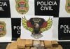 Polícia Civil de Jales apreende mais de 21 quilos de maconha