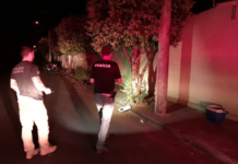 Homem morre após bater motocicleta em árvore; companheira é socorrida