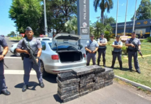 Motorista é preso após ser flagrado com mais de 300 tijolos de maconha em rodovia de Araçatuba