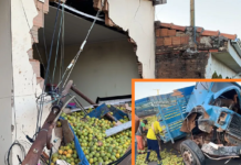 Caminhão carregado com laranjas perde freio e atinge casas em Novais