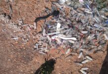 Lixo hospitalar é descartado de forma irregular em Andradina