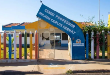 Criança é internada após ser picada por escorpião em creche de Pereira Barreto