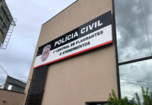 Coqueiro cai e mata homem em Rio Preto