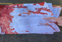 Oficial de Justiça é agredida ao entregar medida protetiva para homem investigado por violência doméstica