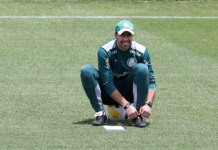 Palmeiras divide pré-temporada em três etapas e será último clube do Paulistão a se apresentar