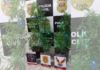Pés de maconha viram “árvores de Natal” em Novo Horizonte