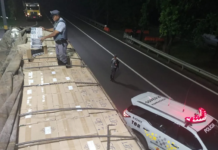 Jovem é preso por transportar mais de 250 mil maços de cigarros contrabandeados na Rodovia Marechal Rondon