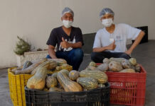 Santa Casa recebe doação de abóboras