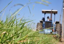 Prefeitura antecipa em caráter excepcional período de limpeza de terrenos