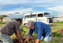 Saev Ambiental e Prefeitura fazem plantio de mudas nativas em reserva ambiental