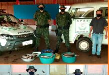 Polícia Ambiental direciona mais 850 kg de pescados a instituições em 2022