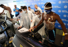 Jogadores do Palmeiras passam por exames e avaliações antes de primeiro treino de 2023