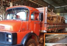 Polícia Ambiental apreende carga de madeira sem documentação