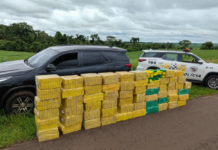 Homem é preso ao transportar mais de 1 tonelada de maconha em rodovia de Birigui
