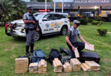 Passageiros de ônibus são presos com tijolos de maconha escondidos em malas