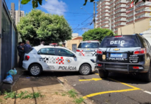 Corpo de mulher é encontrado em lixeira em Rio Preto