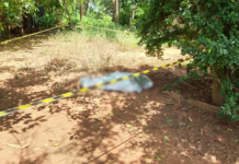 Suspeito de matar idoso diz à polícia que agrediu vítima após discussão por criação de porcos e galinhas