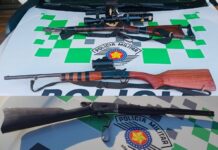 Polícia Ambiental prende dupla por posse ilegal de armas de fogo