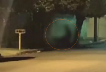 Casal é flagrado fazendo sexo em rua de Potirendaba