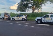 Veículo é apreendido com quase 21 mil maços de cigarros