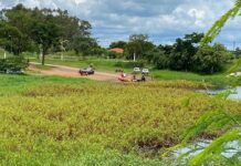 Bombeiros encontram corpo de homem que desapareceu em rio de Pereira Barreto