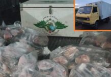 Polícia Ambiental flagra transporte de 100kg de peixe sem documento de origem