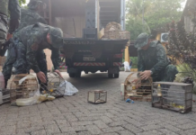 Homem é multado em R$ 16 mil após ser flagrado com aves silvestres em cativeiro em Rio Preto