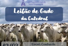 CATEDRAL NOSSA SENHORA APARECIDA – Leilão de Gado será dia 12 de março