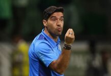 Abel diz que Palmeiras deve contratar, mas admite que pode usar Luan como volante