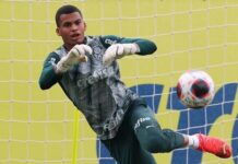 Palmeiras tem treino intenso na reapresentação após vitória em clássico; veja detalhes