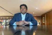 Sem pressa, CBF monitora técnicos e não descarta Abel Ferreira