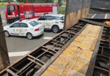 Homem é preso com mais de 350 tijolos de maconha em caminhão na Rodovia Washington Luís