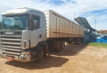 PM recupera gado roubado em Cardoso; dono e funcionários foram feitos reféns