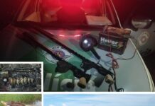 Polícia Ambiental flagra e autua pescadores e caçadores na região