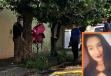 Polícia Civil prende suspeito de matar mulher e colocar corpo em lixeira