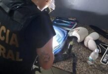 “Avis Aurea”: PF faz operação em Rio Preto contra venda de ouro de terras Yanomami