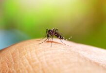 Dengue: Vigilância Ambiental realiza ação de combate em Simonsen nesta sexta e sábado
